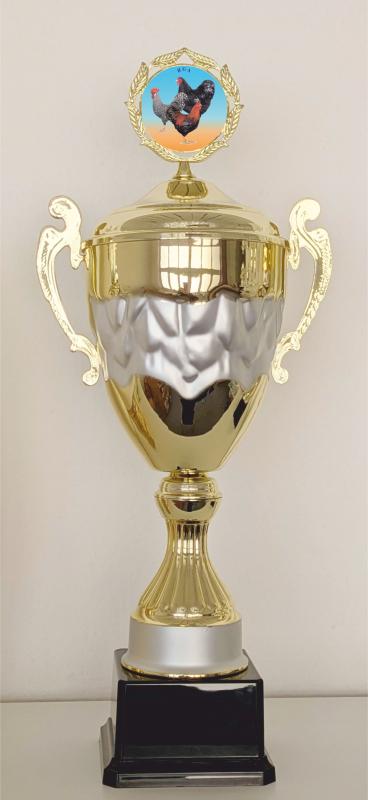 C 598 Großpokal