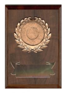 Ehrentafel bronce - S 801