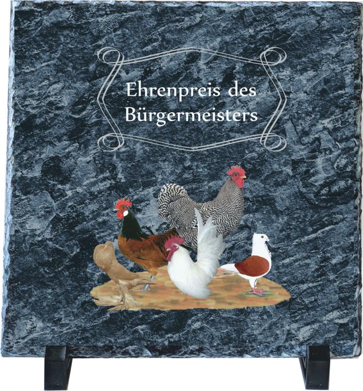 STG 2021 Schiefertafel